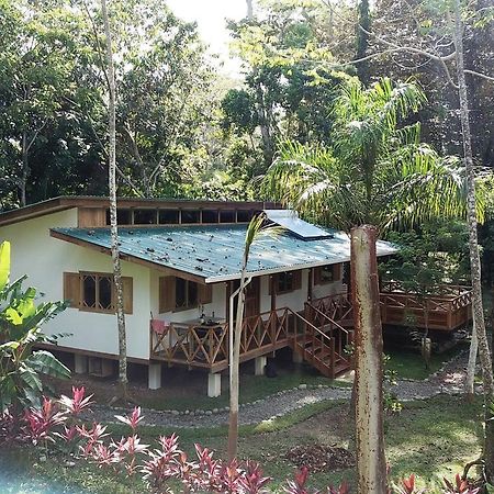 Casa Del Congo Villa Cahuita Exterior photo