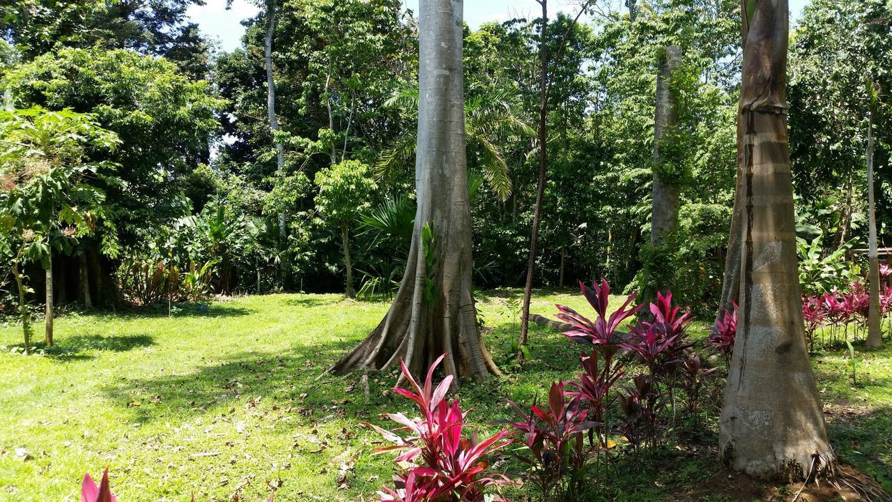 Casa Del Congo Villa Cahuita Exterior photo